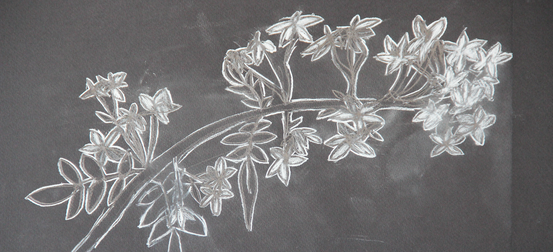 Chalk drawing