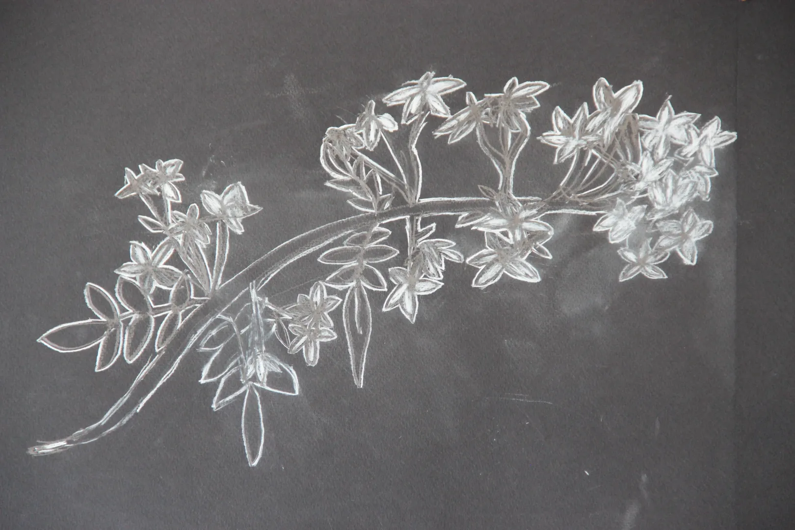 Chalk drawing of flowers